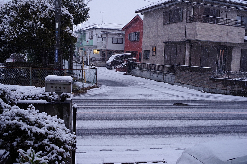 snow