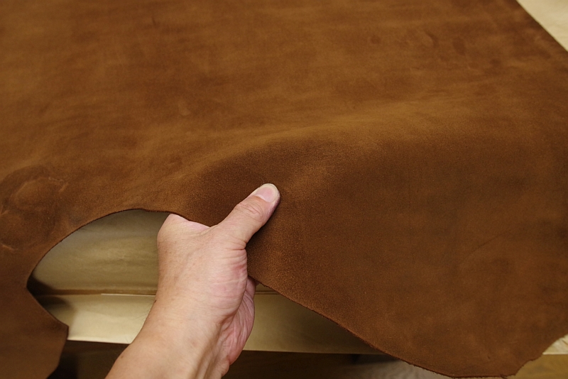 チャールズFステッド