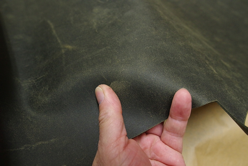 チャールズFステッド