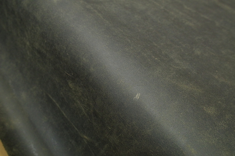 チャールズFステッド